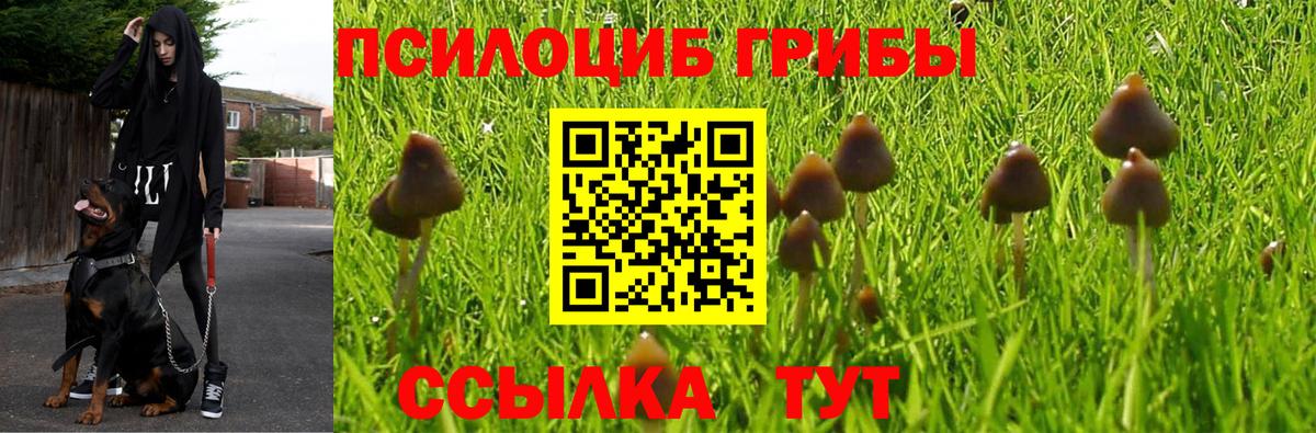 Галлюциногенные грибы Cubensis Алушта